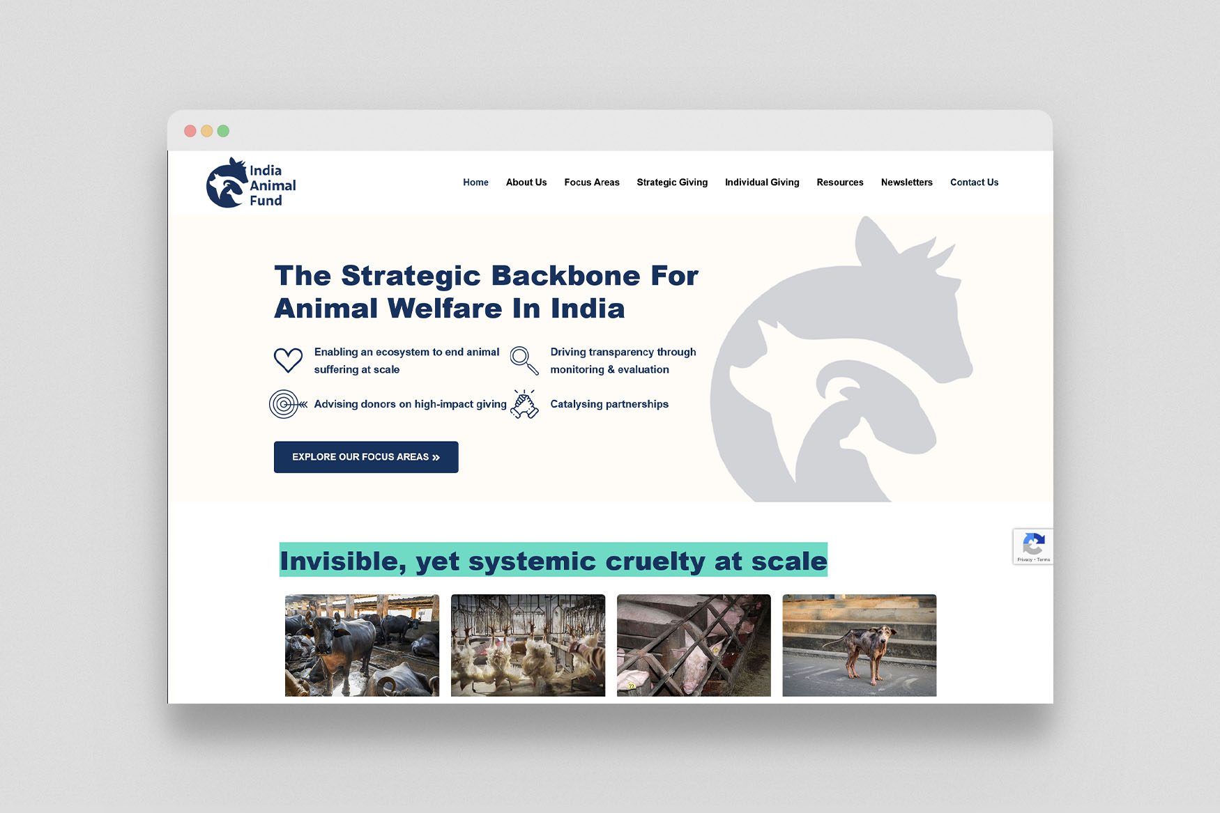 Browser_Screen_Mockup copy