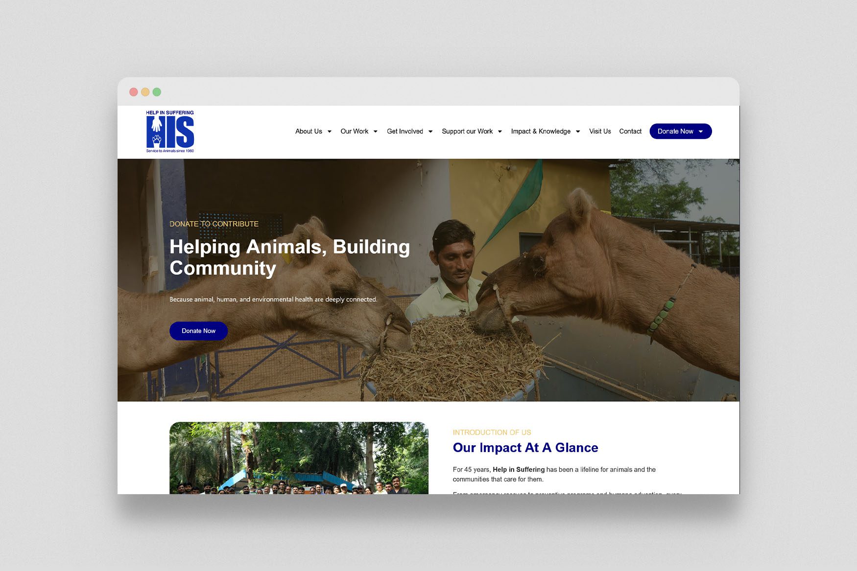 Browser_Screen_Mockup copy